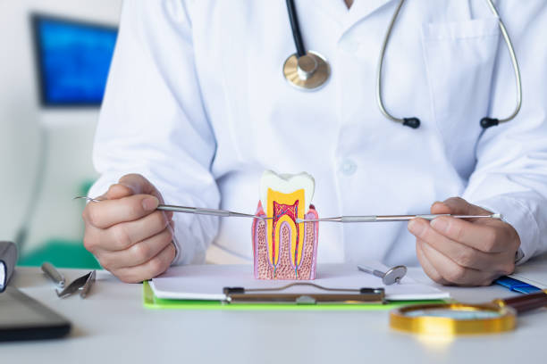Best After-Hours Dental Trauma Care in Lake Cherokee, TX